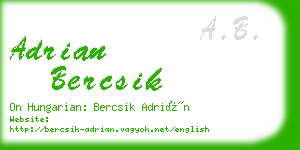 adrian bercsik business card